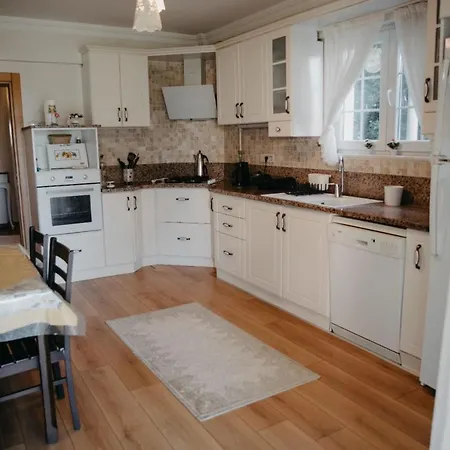 House With Private Pool And Garden In Sapanca